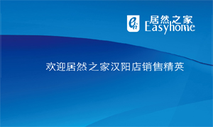 居然之家汉阳店新进导购员培训